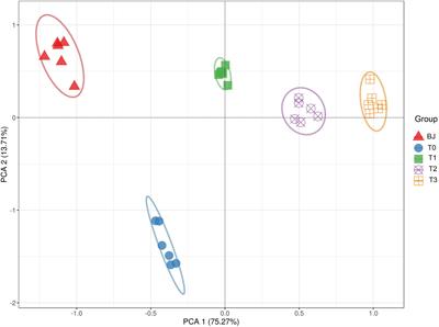 The Abundance of the nifH Gene Became Higher and the nifH-Containing Diazotrophic Bacterial Communities Changed During Primary Succession in the Hailuogou Glacier Chronosequence, China